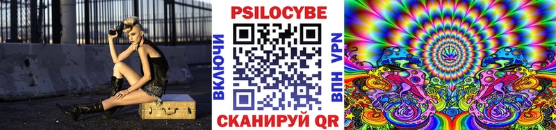 Псилоцибиновые грибы Psilocybe  Мыски 