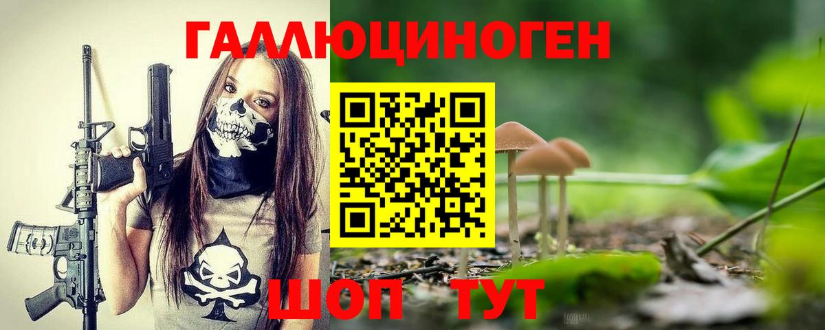 Мыски  Псилоцибиновые грибы Cubensis  Вход с VPN 